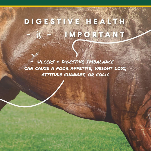 U-Gard Gastric Support Pellets for Horses