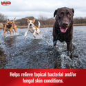 Sulfodene 3-Way Ointment for Dogs Helps relieve bacteria