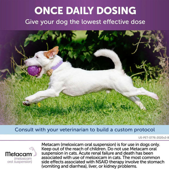 metacam once daily dosing
