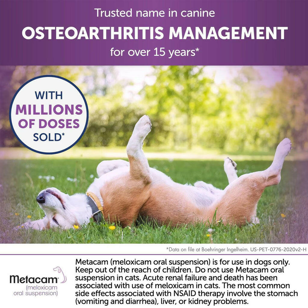 metacam osteoarthritis management