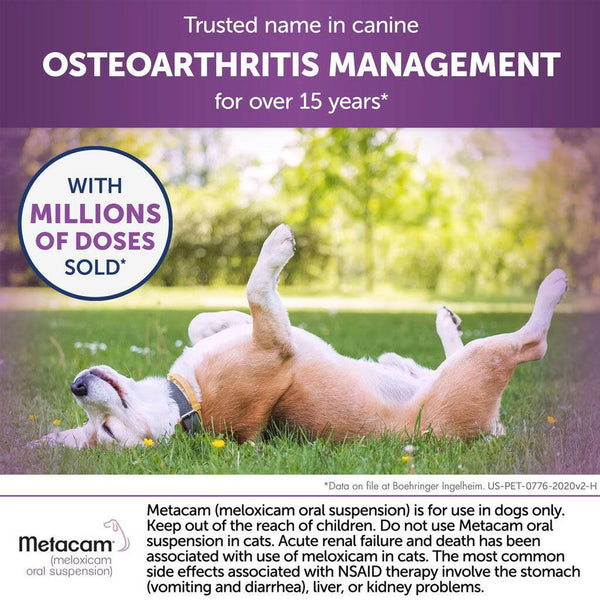 metacam osteoarthritis management