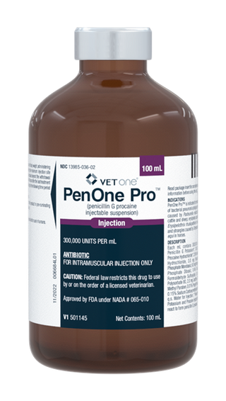 PenOne Pro (Penicillin G Procaine) Sterile Injection