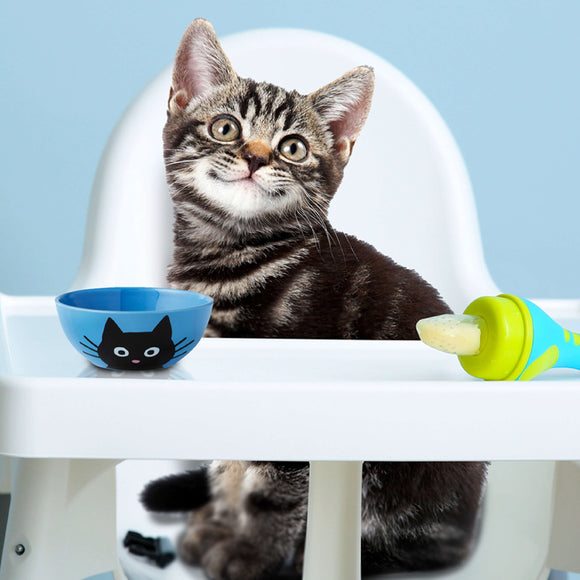 Cat sitting at a high chair with a blue bowl and green toy on a light blue background