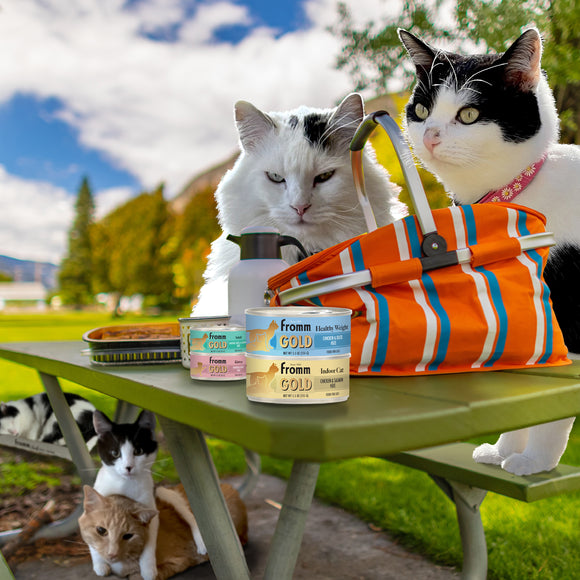 Two cats sitting on a picnic table with Fromm Gold cat food cans and a striped bag.