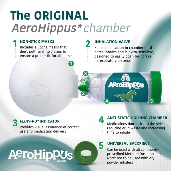 AeroHippus Aerosol Chamber for Horses with Asthma