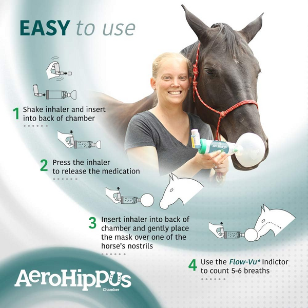 AeroHippus Aerosol Chamber for Horses with Asthma