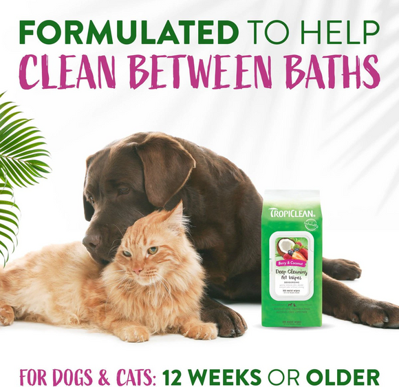 Tropiclean Deep Cleaning Berry & Coconut Deodorizing Pet Wipes (100 ct)
