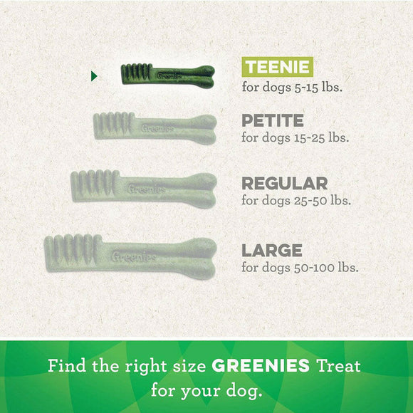GREENIES Fresh Mint Teenie