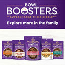 Wellness Bowl Boosters pet food packages on a white background with purple text.