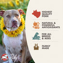 Dog wearing a yellow flower collar with product features on the right