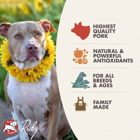 Dog wearing a yellow flower collar with product features on the right