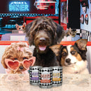 Three dogs in a diner setting with 'Fromm Diner' cans on the table.