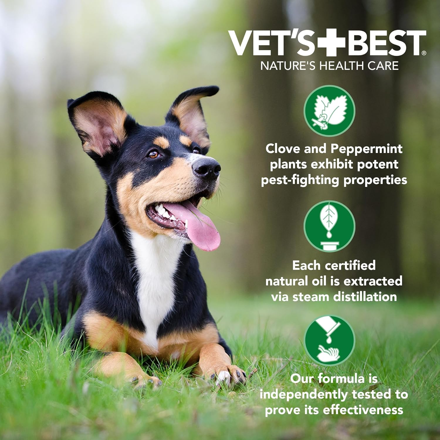 Vet's Best Natural Anti-Flea Easy Spray Shampoo for Dogs (16 oz)