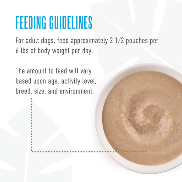 Feeding guidelines for adult dogs with a bowl of dog food on a white background