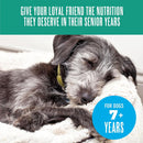 Dog lying on a blanket with text about senior dog nutrition