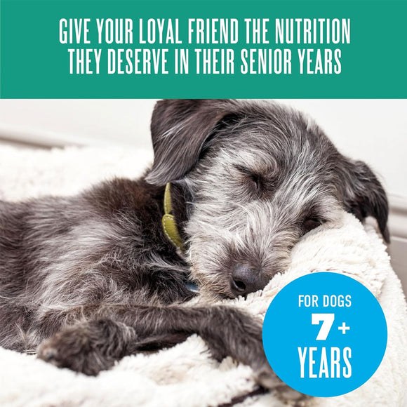 Dog lying on a blanket with text about senior dog nutrition
