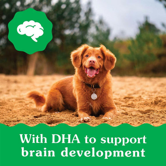 Greenies Teenie Puppy DHA