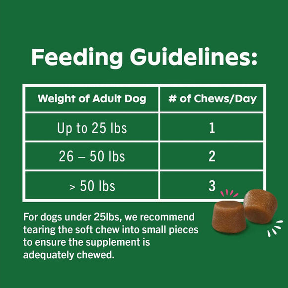 Healthy coat supplements for dogs