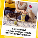 Temptations Chicken Flavor Crunchy & Soft Kitten Treats