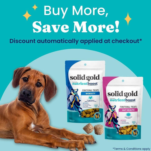 Dog lying next to Solid Gold pet food packages with promotional text on a blue background