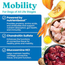 Product advertisement for dog food with ingredients and health benefits on a white background