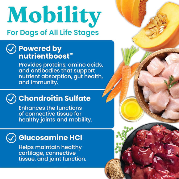 Product advertisement for dog food with ingredients and health benefits on a white background