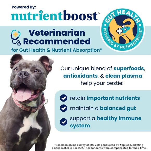 Dog with text about nutrientboost for gut health and nutrient absorption
