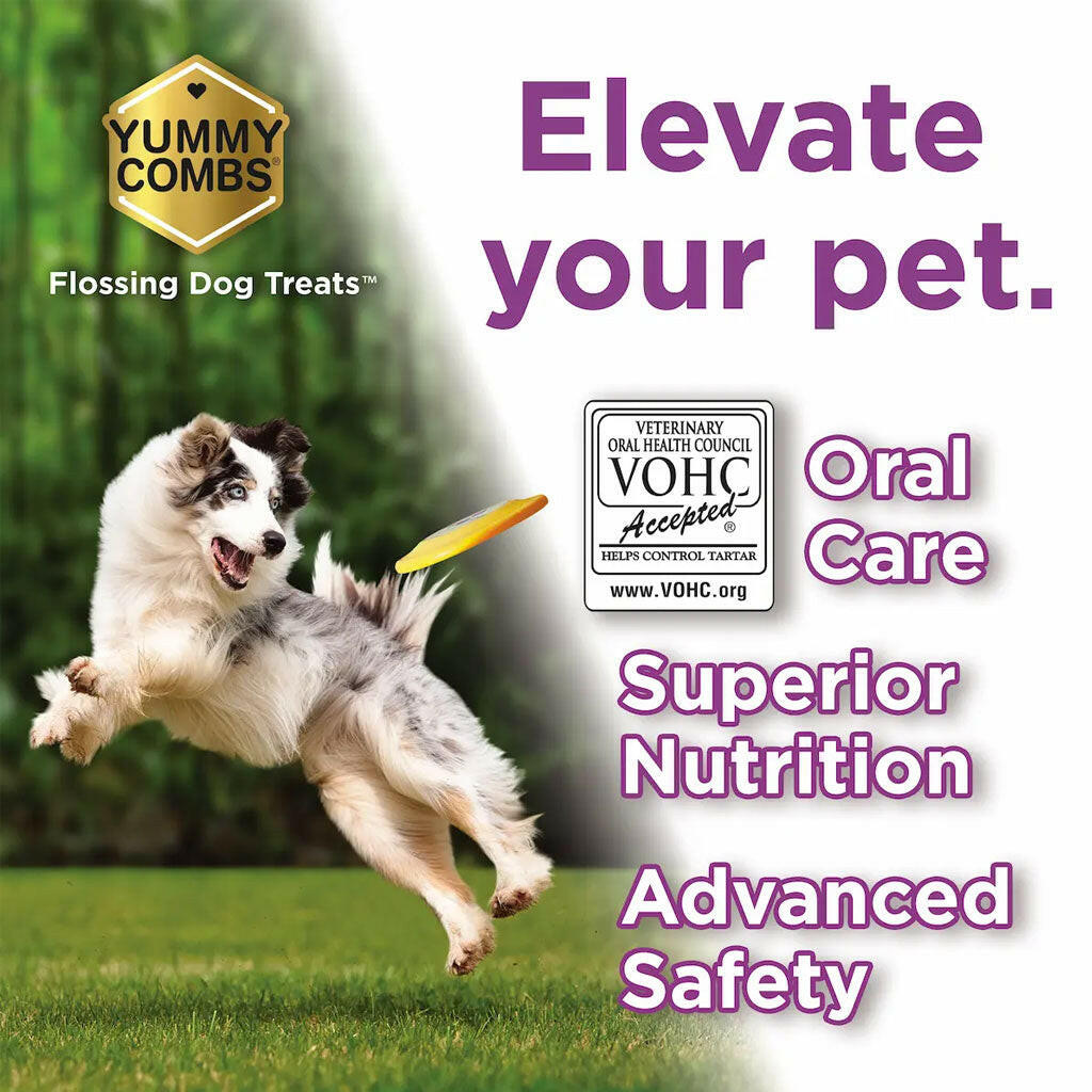 Yummy Combs Premium Dog Treats, Fish and Egg Allergy Relief, Small oral care