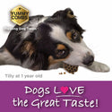 Yummy Combs Premium Dog Treats, Fish and Egg Allergy Relief dog eating