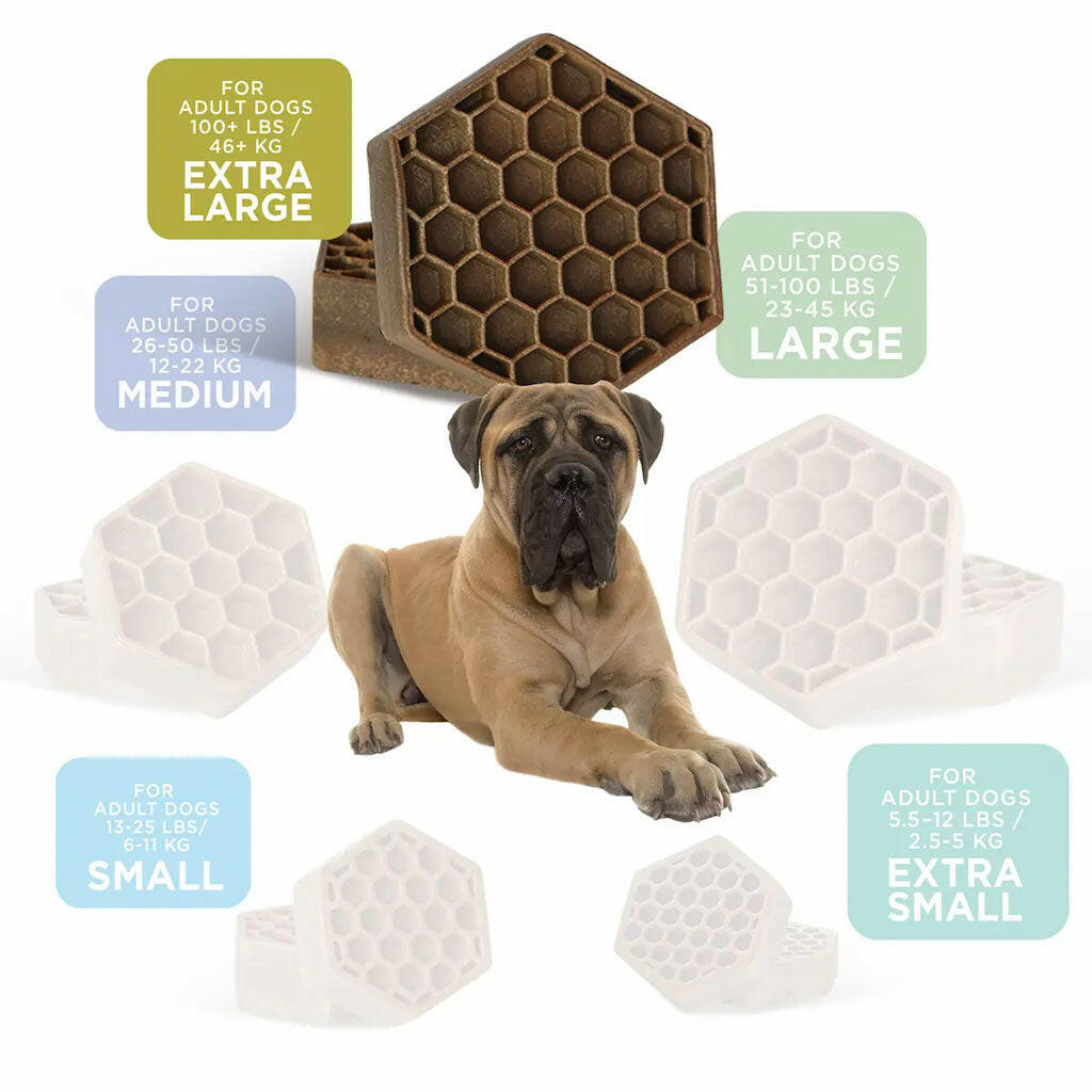 Yummy Combs Premium Dog Treats, Fish and Egg Allergy Relief, X-Large size