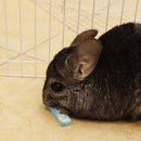 Ware Krunchy Mineral Chews for Small Animal