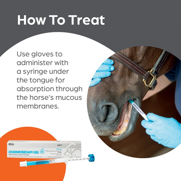 Dormosedan (Detomidine hydrochloride) Gel for Horses - 3ml Syringe