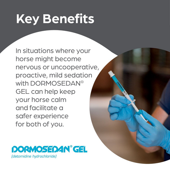 Dormosedan (Detomidine hydrochloride) Gel for Horses - 3ml Syringe