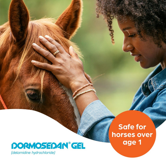 Dormosedan (Detomidine hydrochloride) Gel for Horses - 3ml Syringe