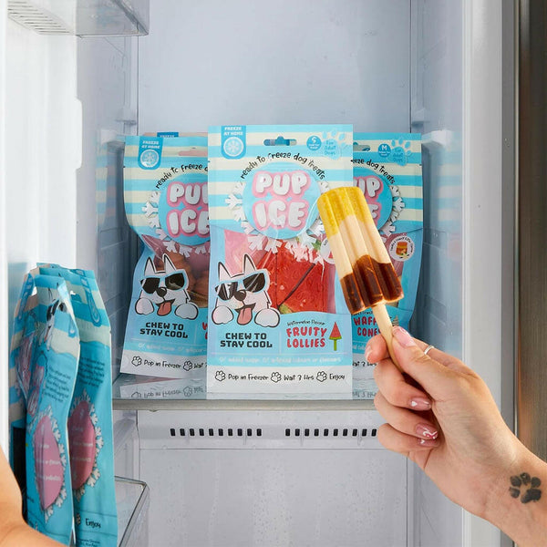 Ethical Pup Ice Rocket Lollies Ready to Freeze Dog Treats Banana in Freezer