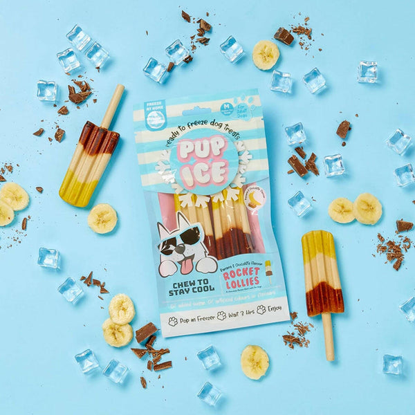 Ethical Pup Ice Rocket Lollies Ready to Freeze Dog Treats Banana & Chocolate with actual ingredients