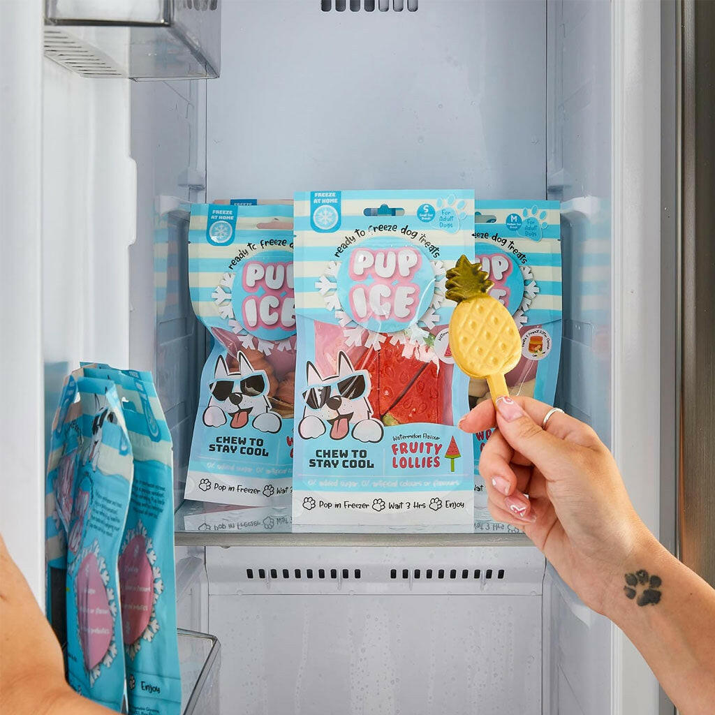 Ethical Pup Ice Fruity Lollies Ready to Freeze Dog Treats Pineapple in freezer