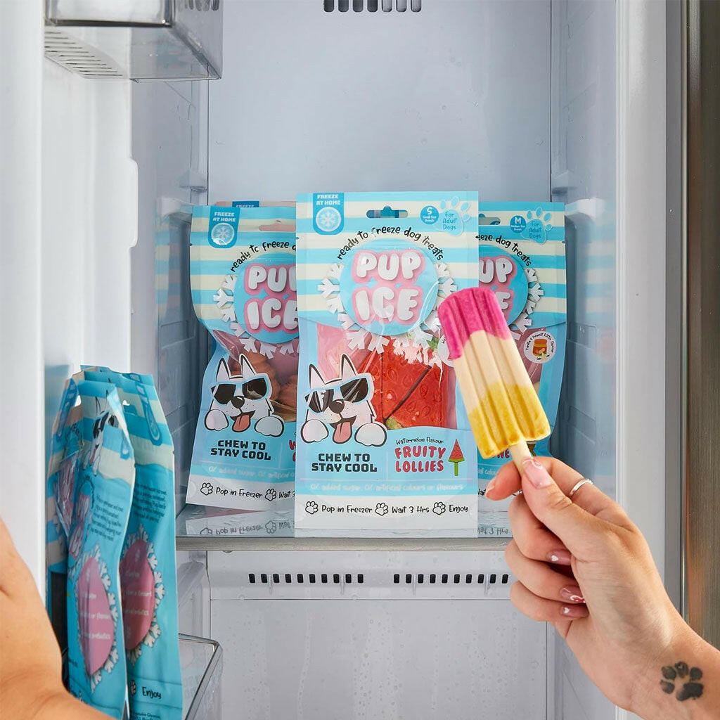 Ethical Pup Ice Rocket Lollies Ready to Freeze Dog Treats Strawberry & Banana on freezer