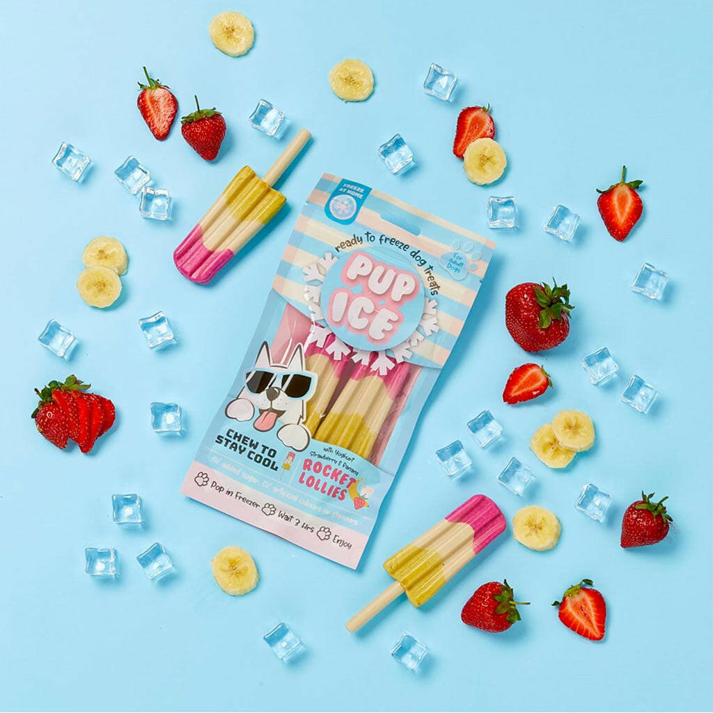 Ethical Pup Ice Rocket Lollies Ready to Freeze Dog Treats Strawberry & Banana with actual ingredients