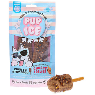 Ethical Pup Ice Choccy Lollies Peanut Butter & Chocolate Dog Treat, 2 pack