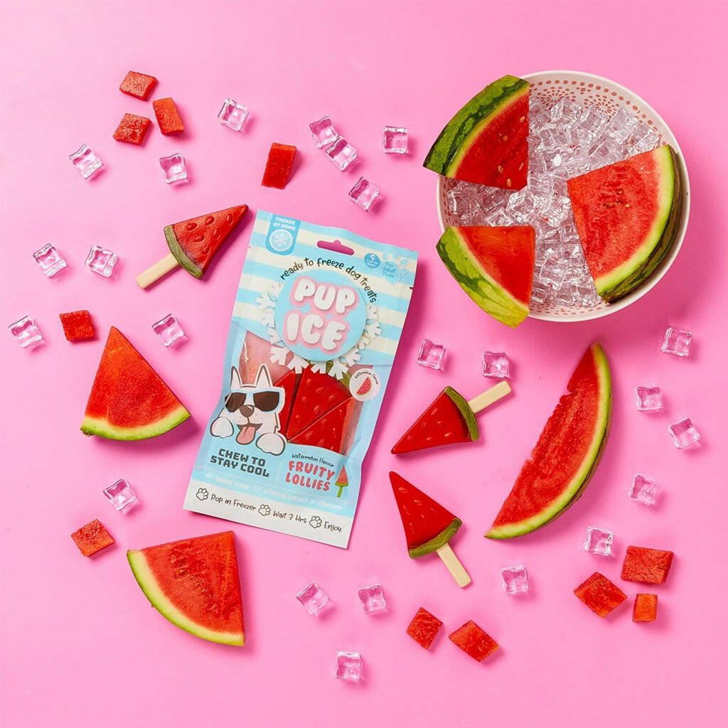 Ethical Pup Ice Fruity Lollies Ready to Freeze Dog Treats with watermelon