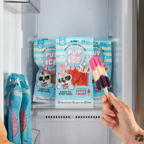 Ethical Pup Ice Rocket Lollies Ready to Freeze Dog Treats Strawberry & Blueberry on Freezer