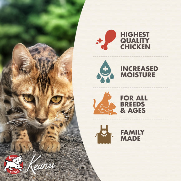 Cat on a stone surface with Keanu pet food packaging featuring product benefits.