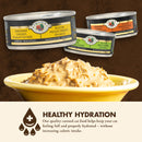 Romm canned cat food with a bowl of food and text about healthy hydration on a brown background