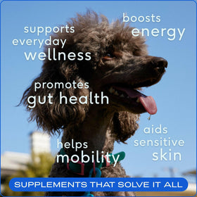native pet the daily supplement benefits