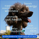 native pet the daily supplement benefits