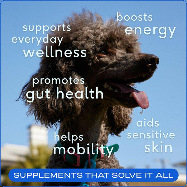 native pet the daily supplement benefits