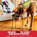 Ethical Pet Hi-Rise Single Diner 2-QT