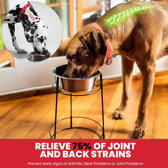 Ethical Pet Hi-Rise Single Diner 2-QT