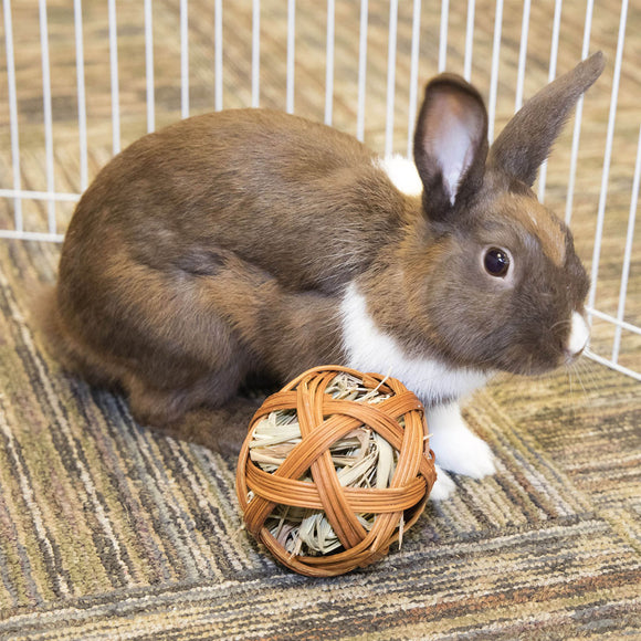 Ware 4" Edible Treat Ball for Small Animal